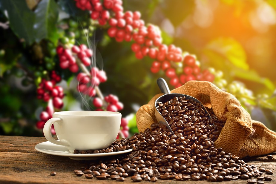 Você sabe qual a origem do cafezinho que toma todo dia?